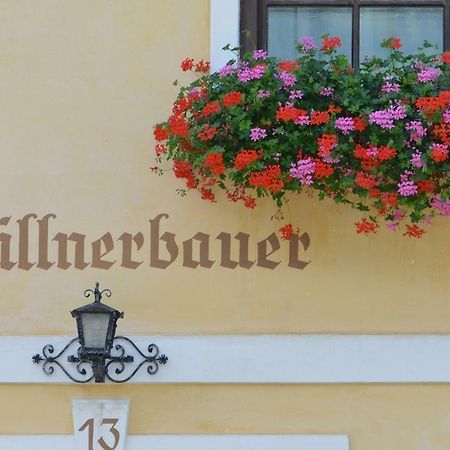 Muellnerbauer Apartment Napplach Ngoại thất bức ảnh