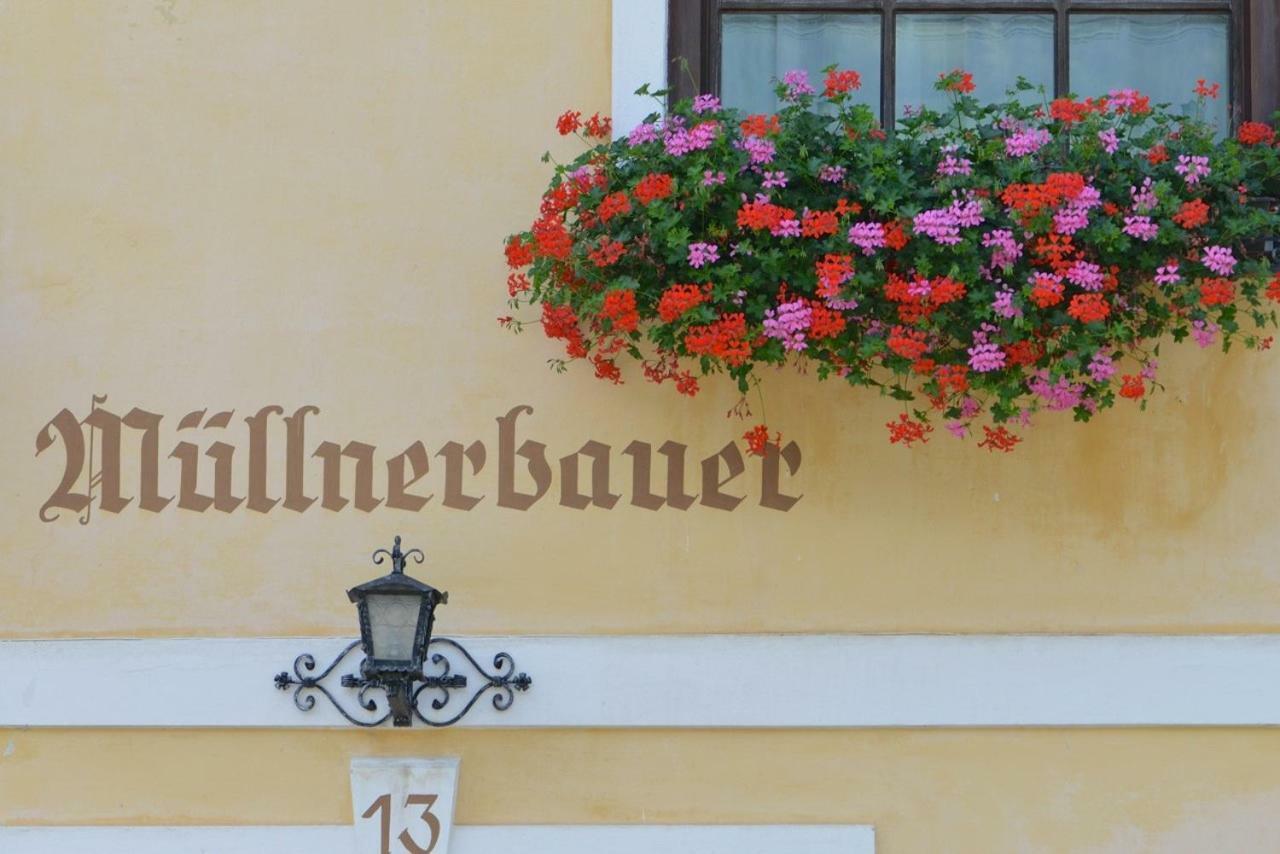 Muellnerbauer Apartment Napplach Ngoại thất bức ảnh